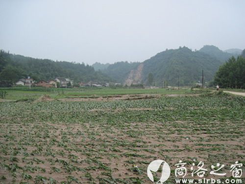 農(nóng)作物受災(zāi)920公頃，其中：絕收210公頃，水毀河堤72公里、耕地210公頃，灌渠24公里，自來水管線180公里。圖為趙