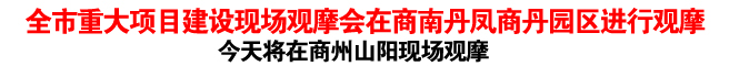 全市重大項目建設(shè)現(xiàn)場觀摩會在商南丹鳳商丹園區(qū)進(jìn)行觀摩